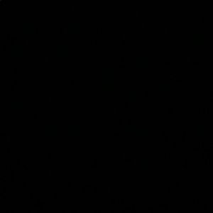 Meet your Posher, Viviana